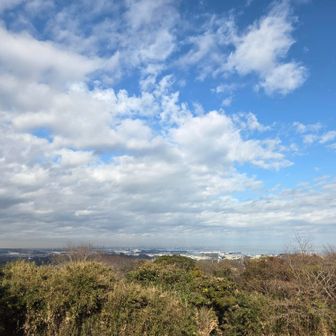 上二子山の展望台から。
東京湾沿岸部の横浜・川崎方面が見えます。