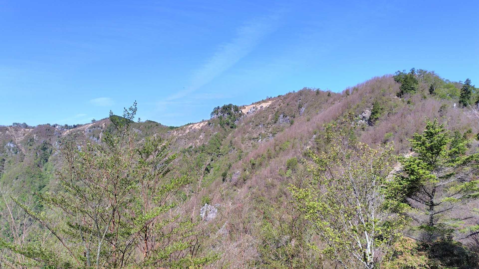 大杉国見山を捉える
タテガミ平も見える