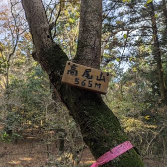 高尾山、どこがてっぺんだか、よくわからず。
