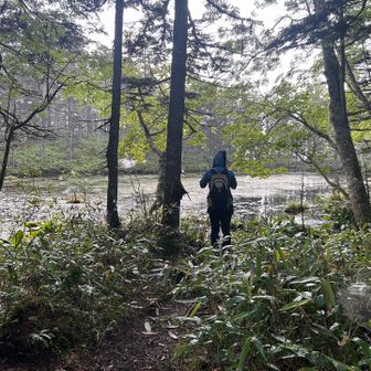 登り切ったら沼？池？
熊さんが出そうで怖い😱