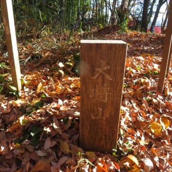 大将山に着きました。