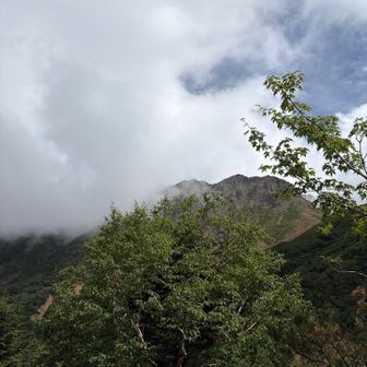 赤岳方面ガスガス