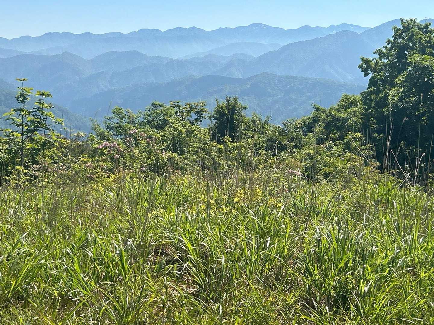 大倉岳-ほとけ峠 往復コースの写真