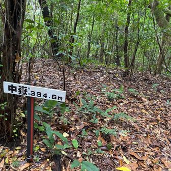 中嶽はおとなしい山頂