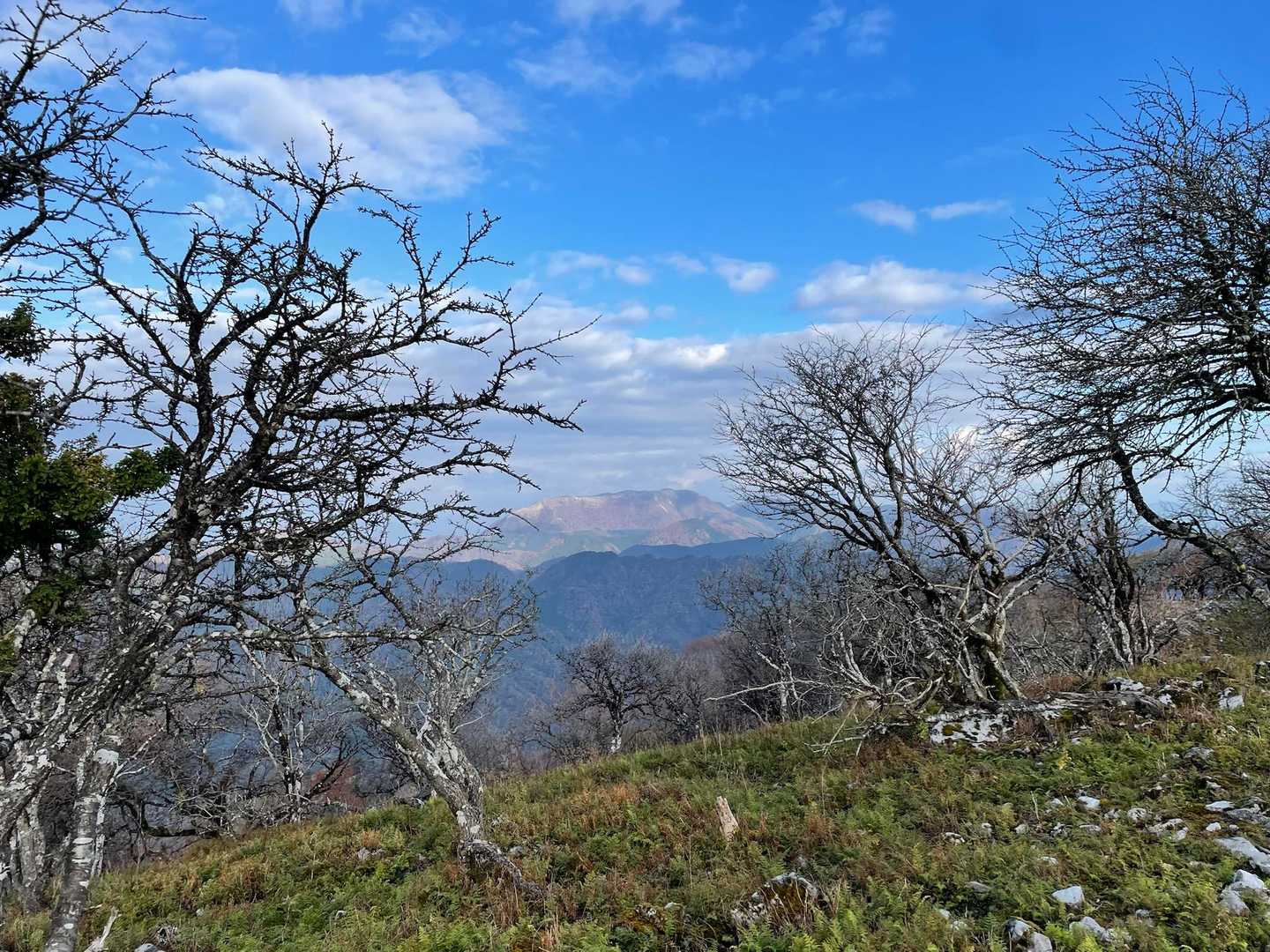 霊仙山
