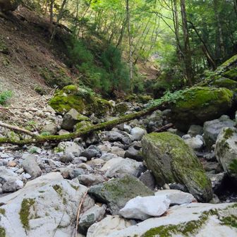 雨が少ないからかほぼ水は流れていない。