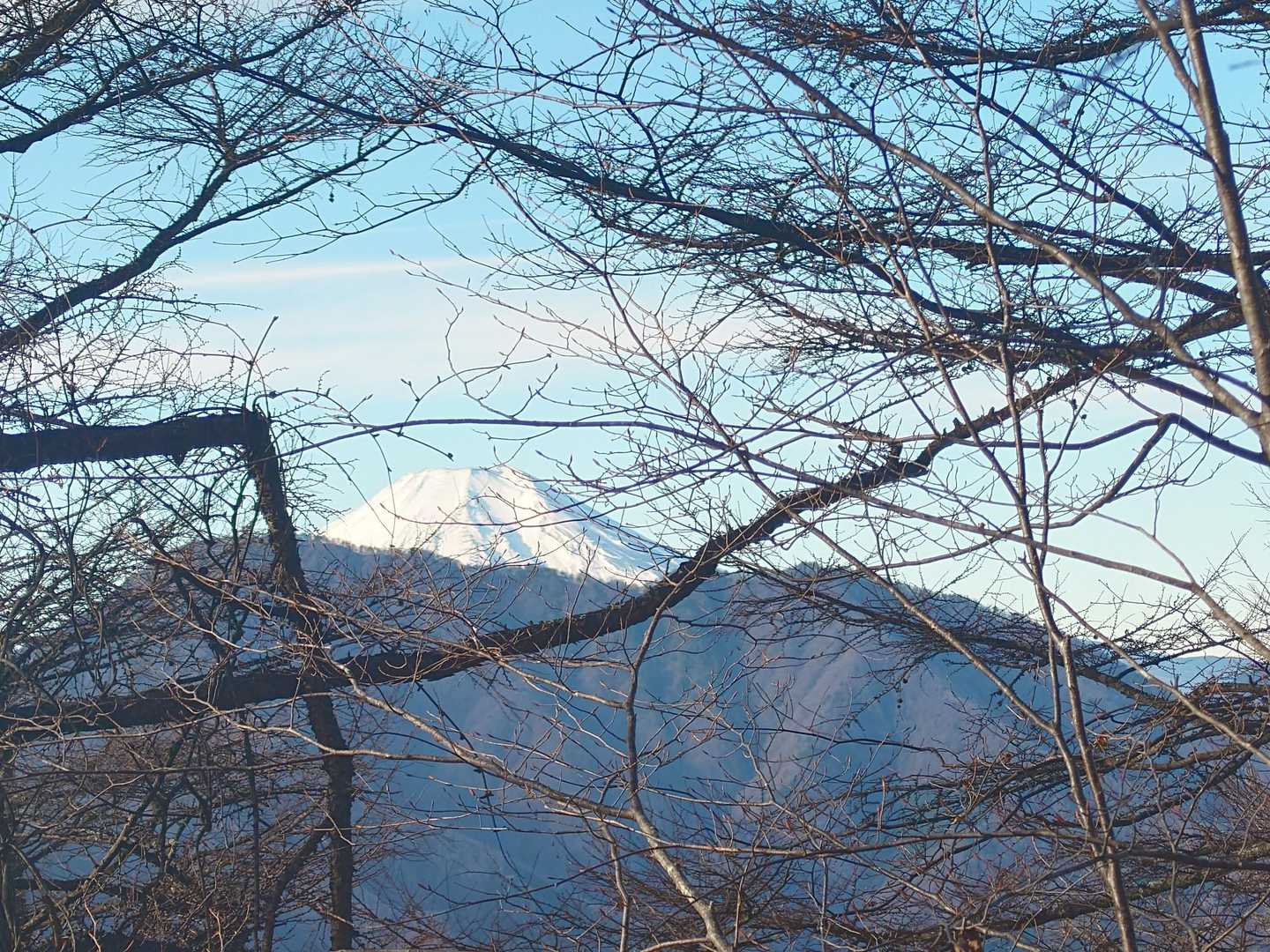 富士山見えました
