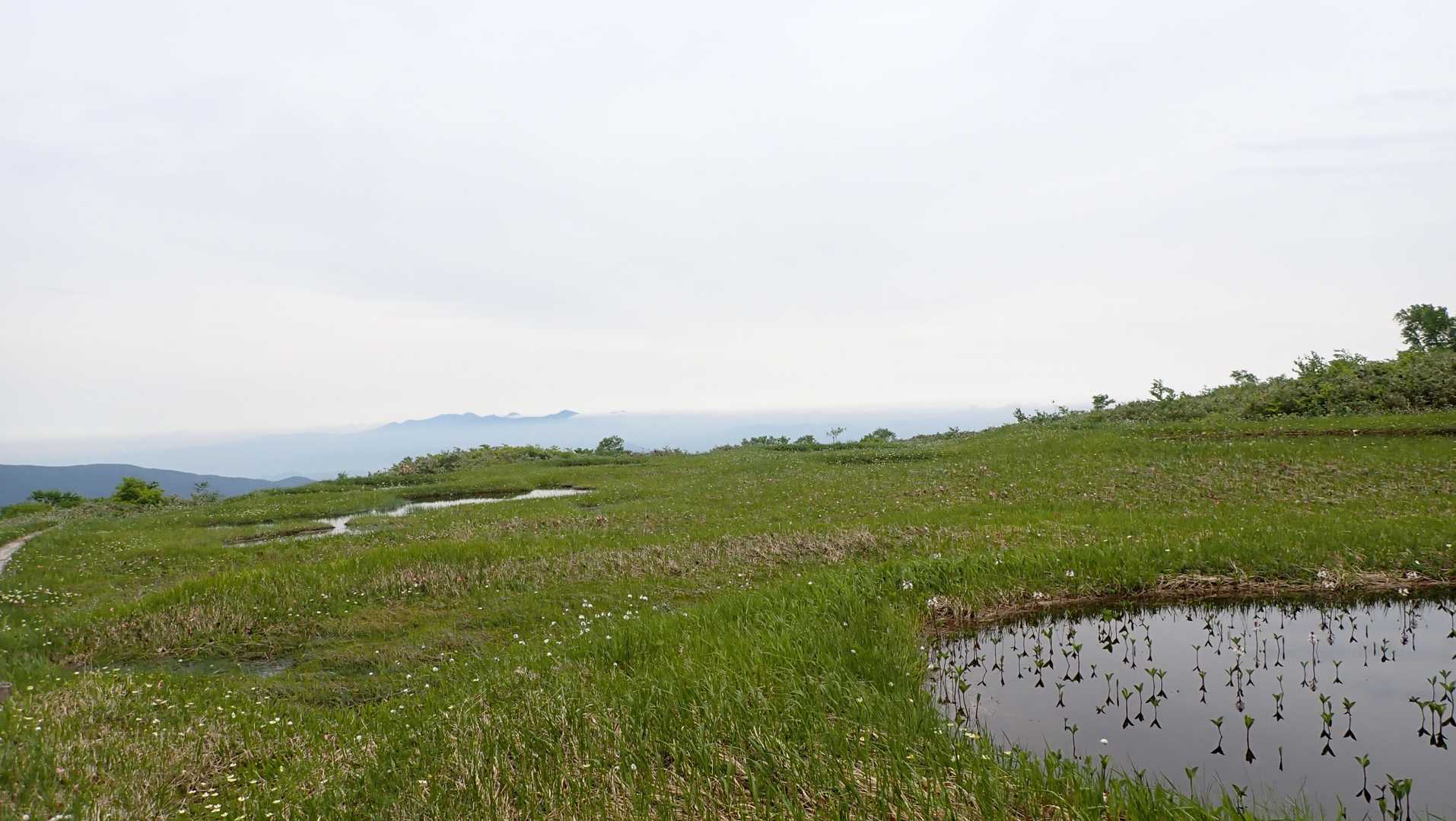 池塘の向こうには八甲田山