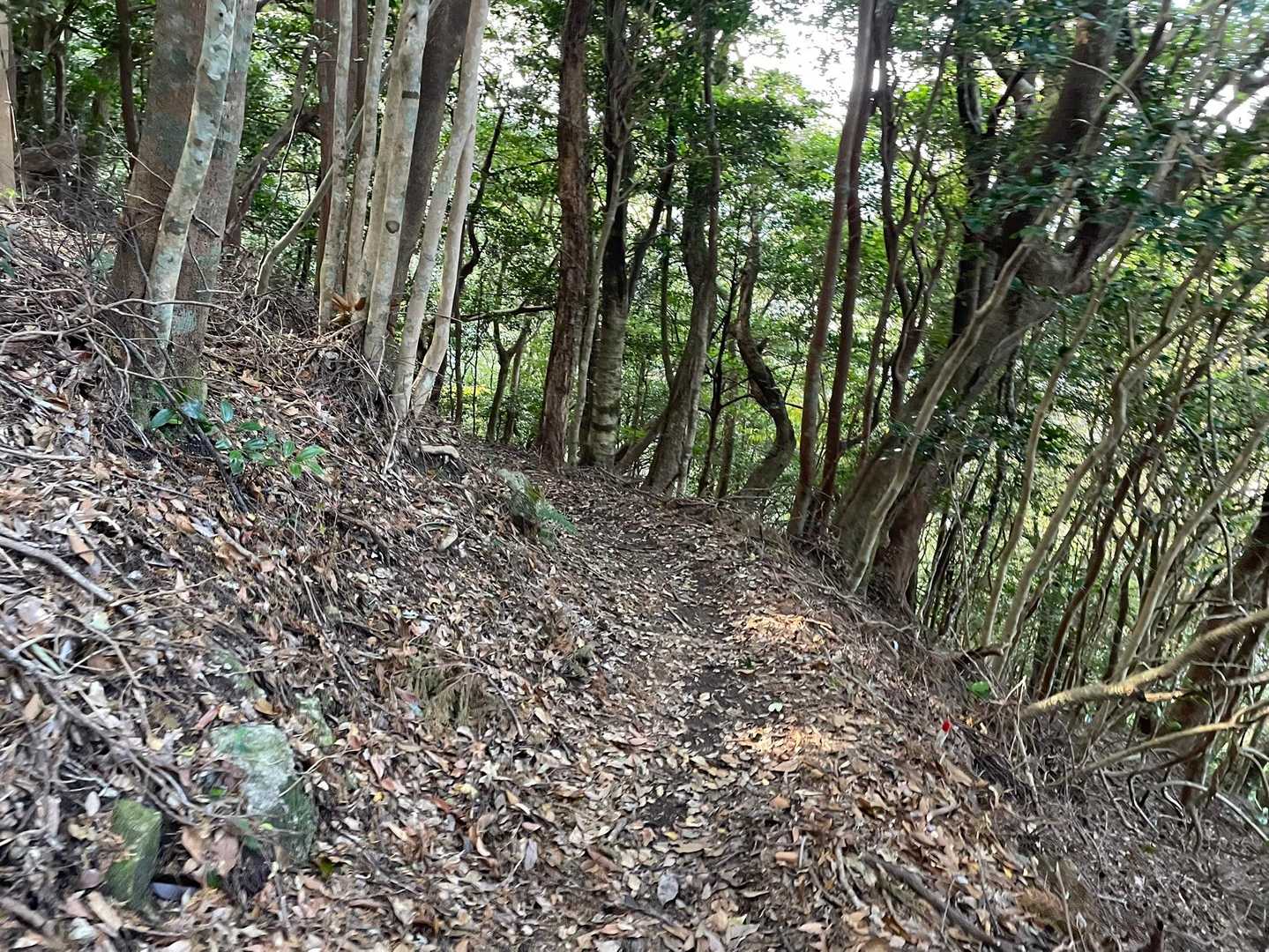 後は。走りやすい下り坂。
