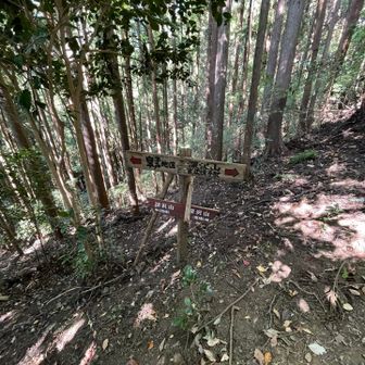 深沢山西峰方面に寄り道

FTRの開催が近いからかすれ違う人の9割がたがトレランの人です