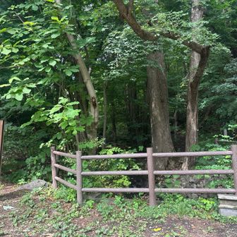 登り返します
