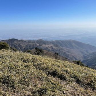歩いてきた尾根を眺める
その先には私たちが住む関東平野が広がる