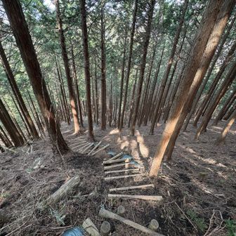 急な木階段の下りです

登りも大変だけど下りもねぇ⚠️
