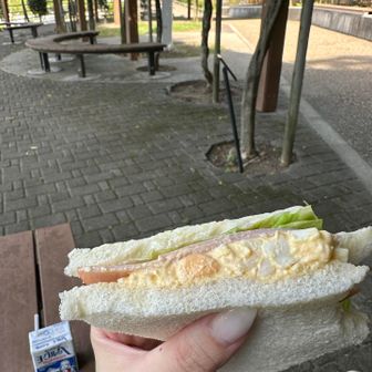 しかしボリューム満点すぎて、その後なかなかお腹空かず……お昼用のキーマカレーメシはお家で晩ご飯にしようかな🍛