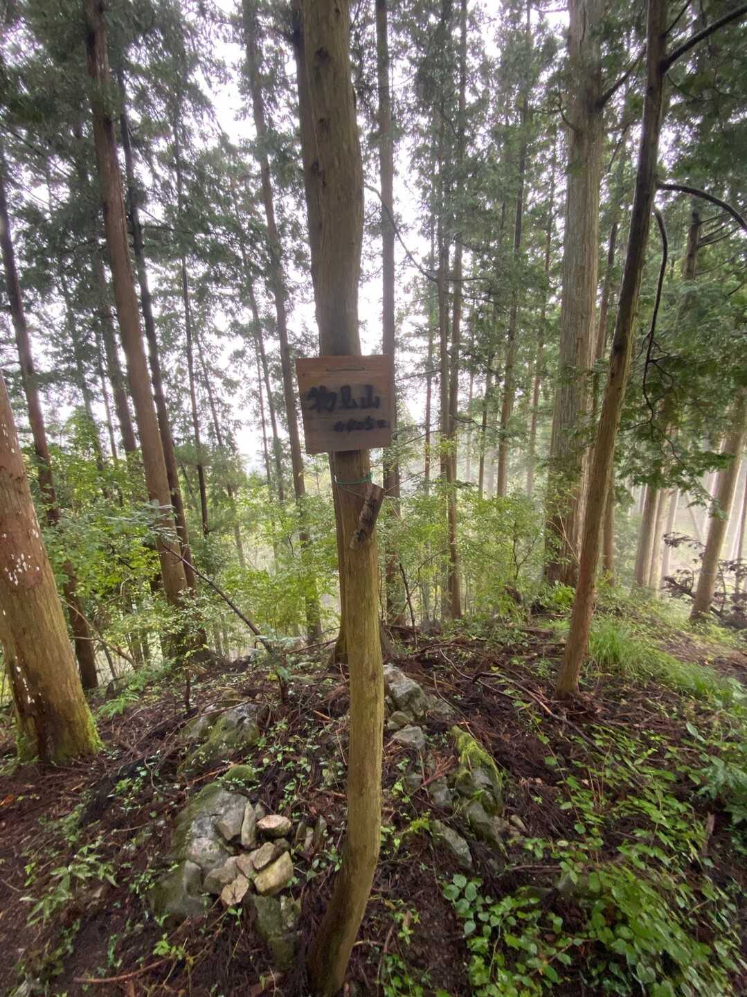 物見山の写真