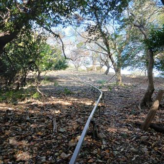 山頂が見えて来た！と思ったら突然居なくなりました😳❗