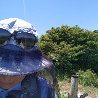 ネットがあれば恐くない