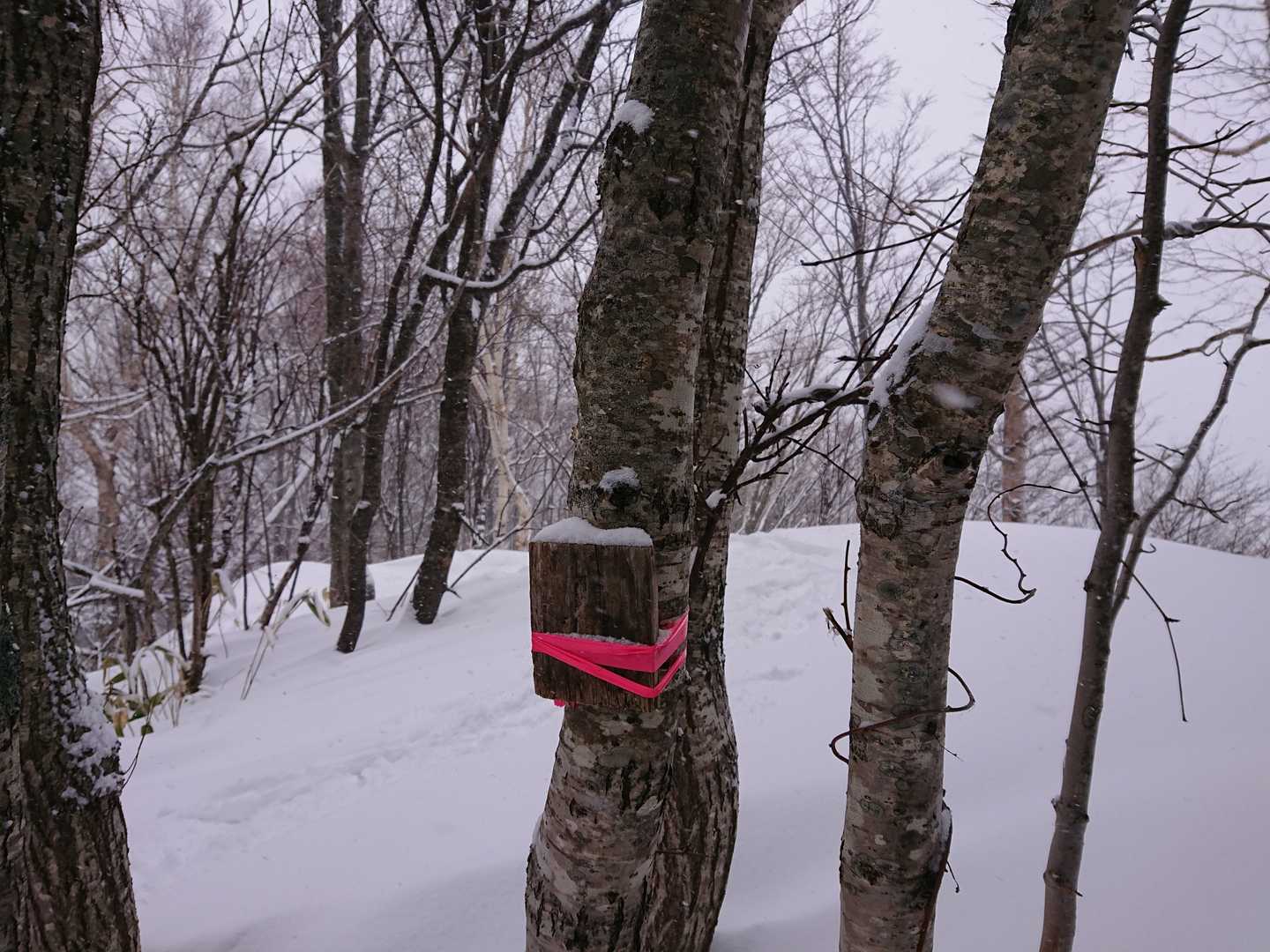 真簾山 到着✨
標識なかったかしら😅