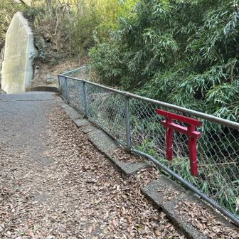 小さな鳥居発見⛩️