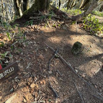 通り過ぎてピーク撮り忘れでちょっと戻る…