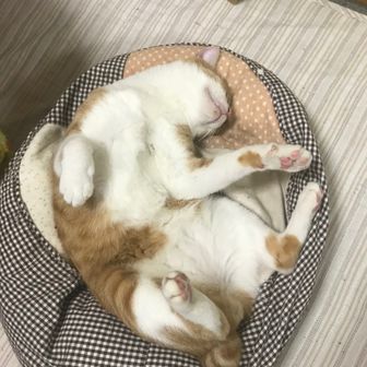 しおひとつまみ