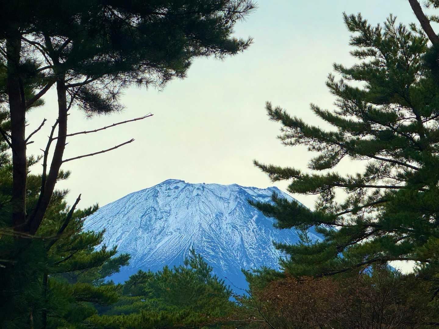 竜ヶ岳-端足峠-端足峠入口-湖畔登山口 周回コースの写真