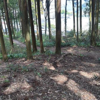 ここに出てきました。また一つコースが増えました✌️