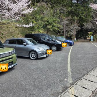 下山したら駐車場がいっぱいでした🚙
みんなハナネコノメソウ見つけられたのかなぁ…😅