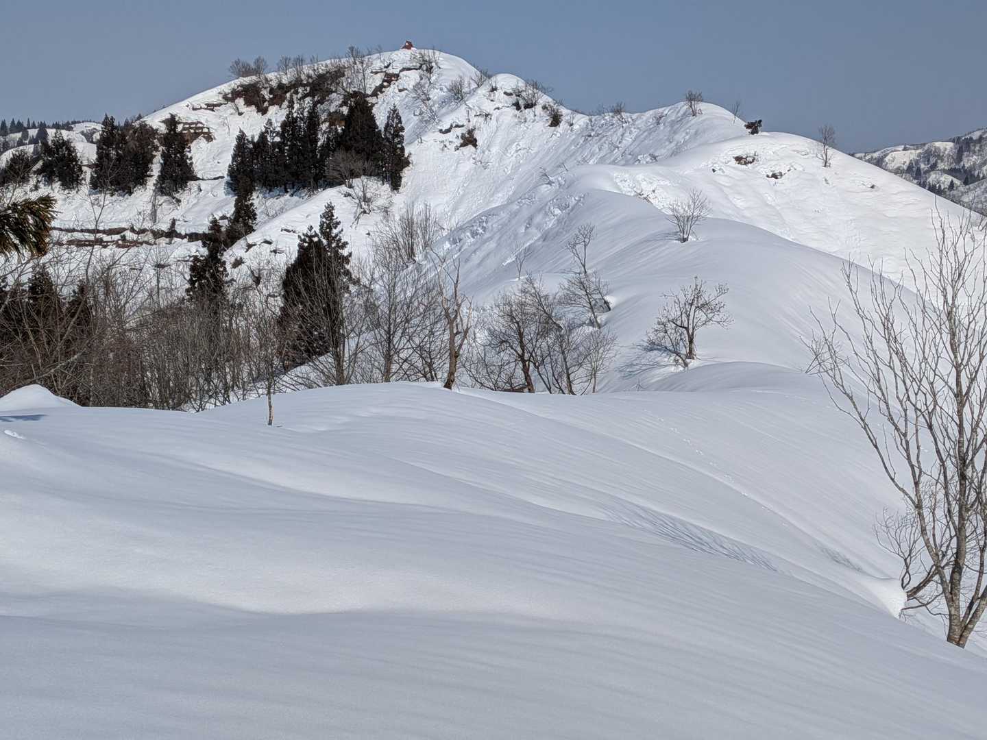 稜線に出たー👍
１番高いトコが親柄薬師山🏔️山頂
薬師堂の赤い屋根が見えます
こっから稜線沿いに歩いて行きます👣