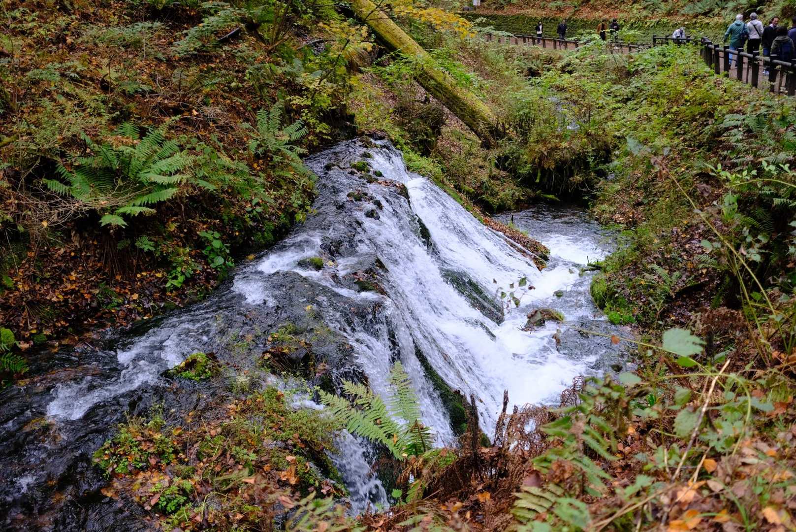 小浅間山登山口-馬返し-小浅間山-信濃路自然歩道 縦走コースの写真