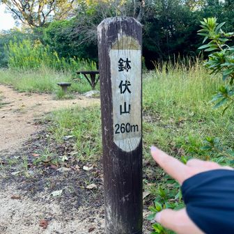 登頂🙌
