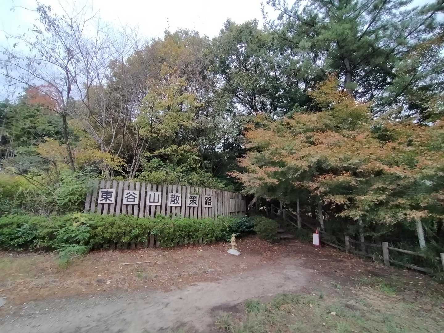 フルーツパークへ下山