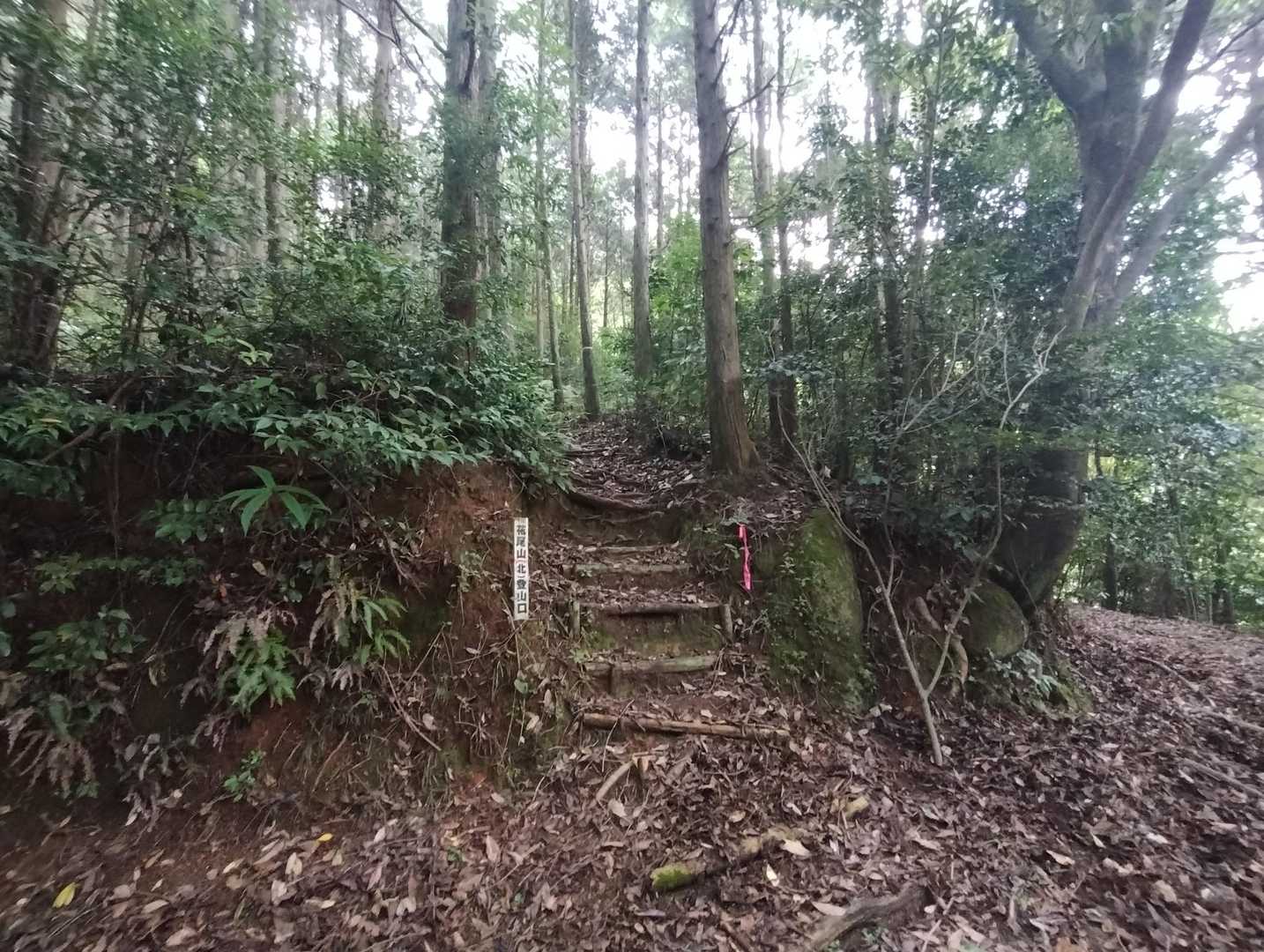 花尾山 周回コースの写真