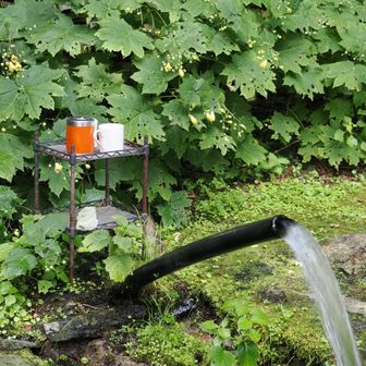 ダイヤモンド水の後ろに今年初めて見るキレンゲショウマ　咲いてました。