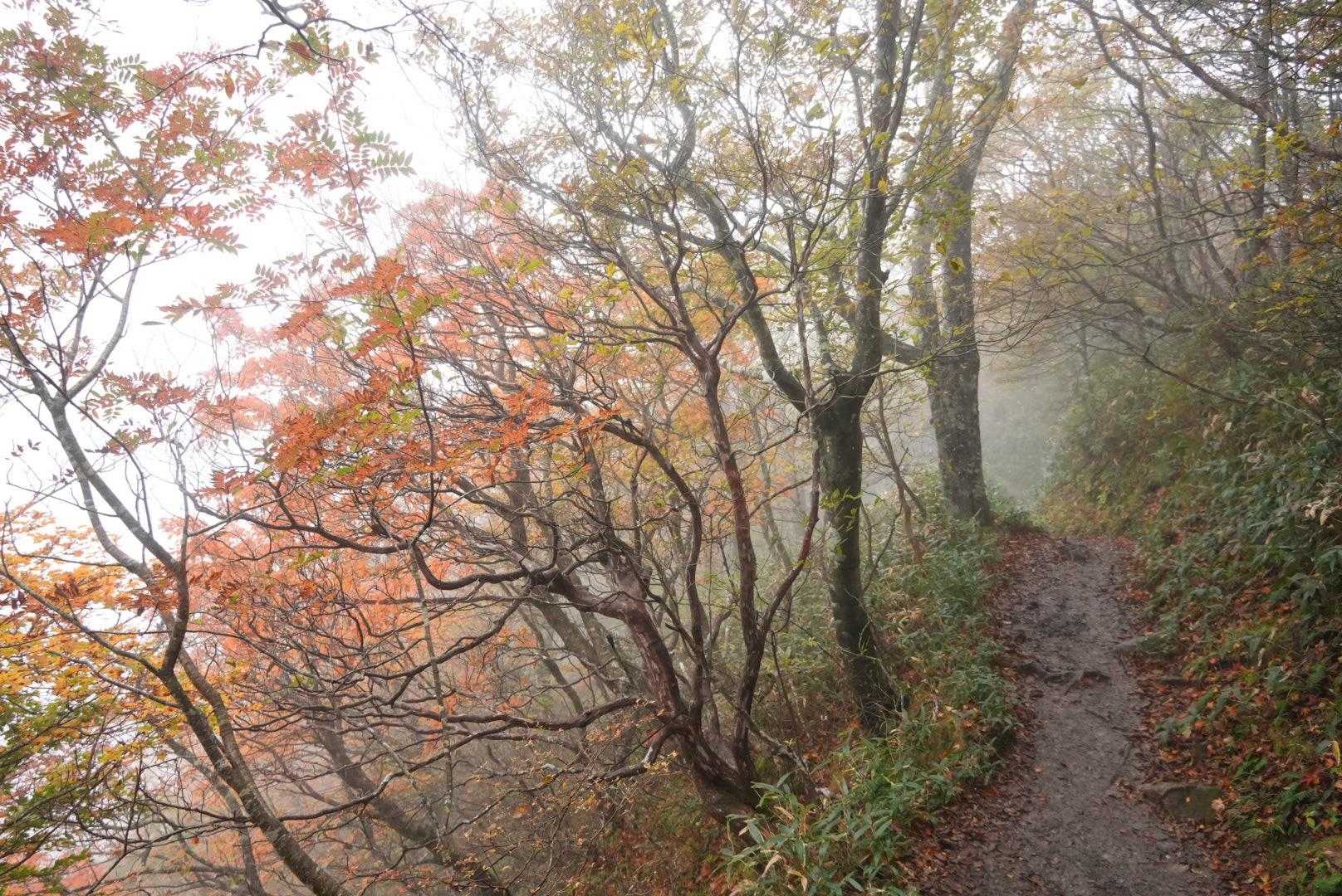 面河渓・石鎚山（面河・土小屋）の写真