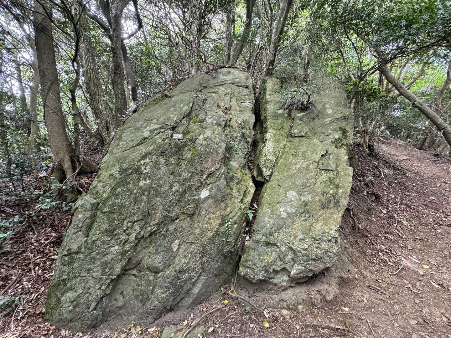 どうみたらキス岩？🤔
平尾台のキス岩の方がリアルよね💋