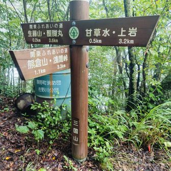 その前に小休止