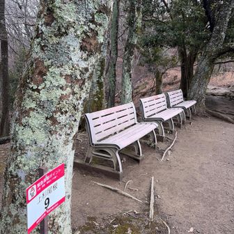 唯一のベンチ😎