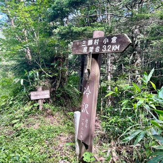 やっと登山口