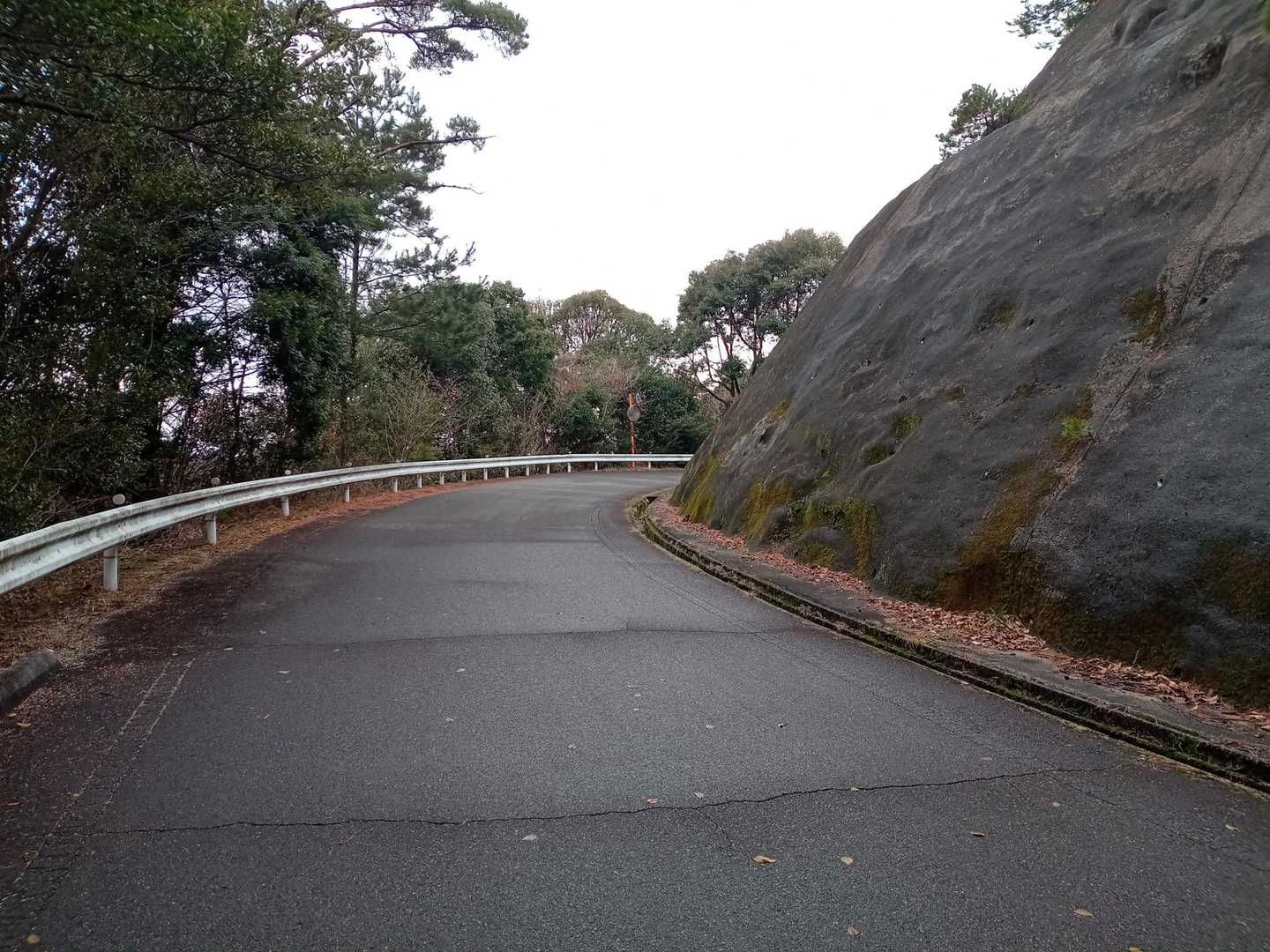 ここらか、東登山口まではアスファルトの道を歩きます。