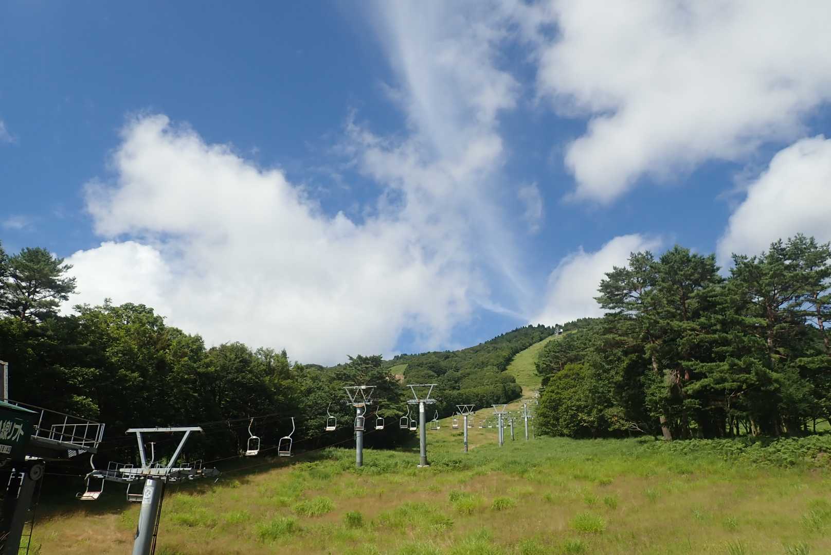 台風🌀接近中のため午後から雨予報。いつまで天気が持つかな～？