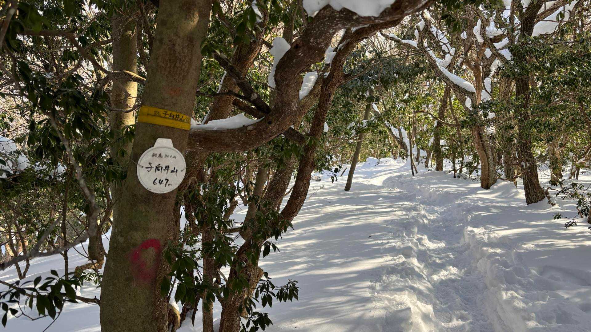 子向井山到着！