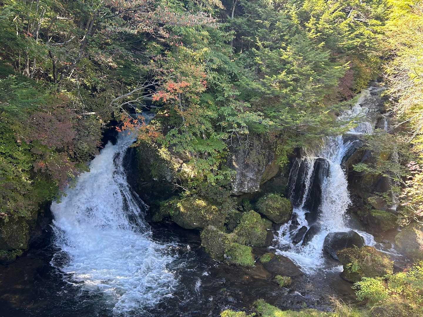 竜頭ノ滝💧
ここでゴール
２つに分かれて流れてる