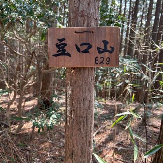豆口山　なんか可愛い