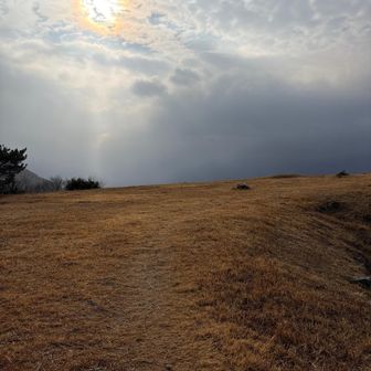 鷹取山についた