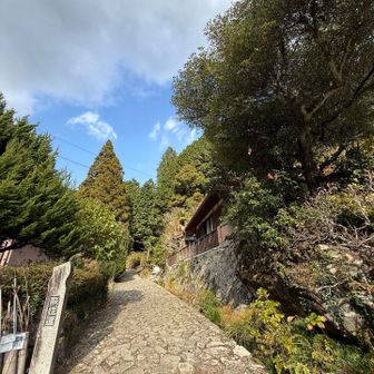 ありがとうございました🍀