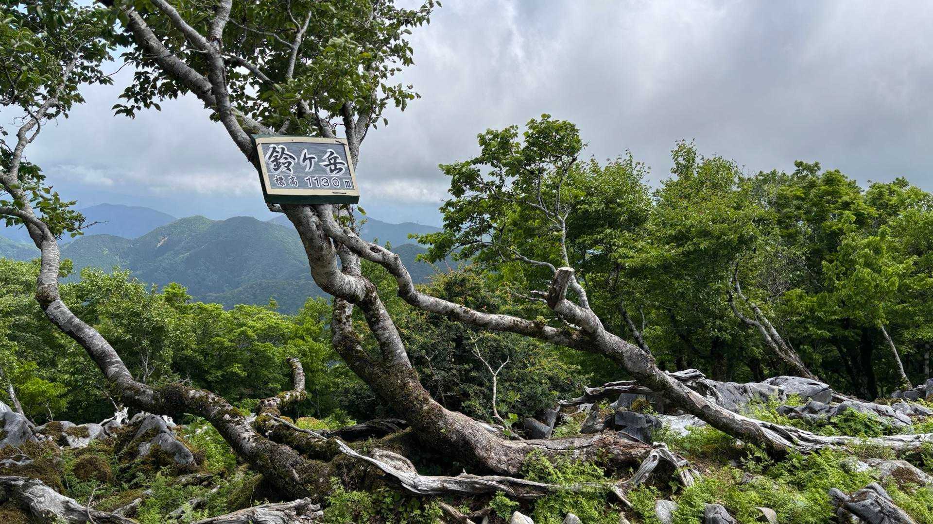 鈴ヶ岳山頂到着！