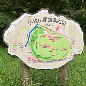 案内図
