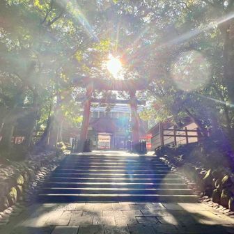 りゅうきゅうマブヤー