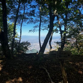 洞の峰